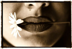 Immagine profilo di fioridimarzia